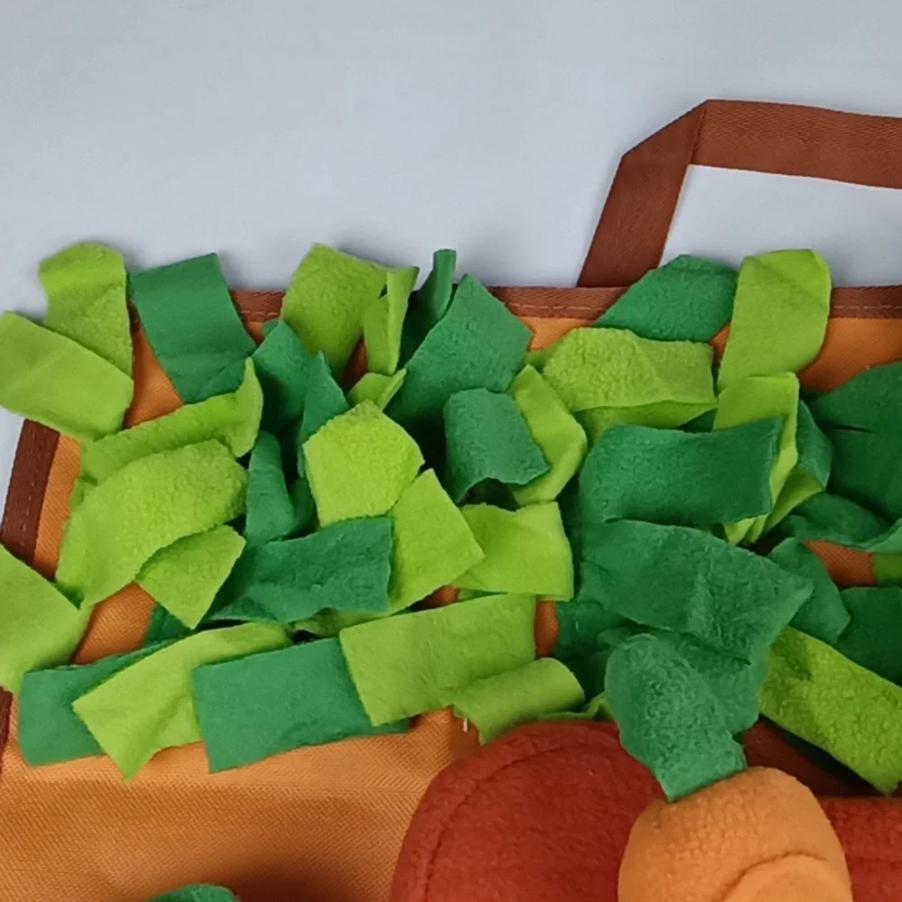 Colorful Play Mat for Dogs